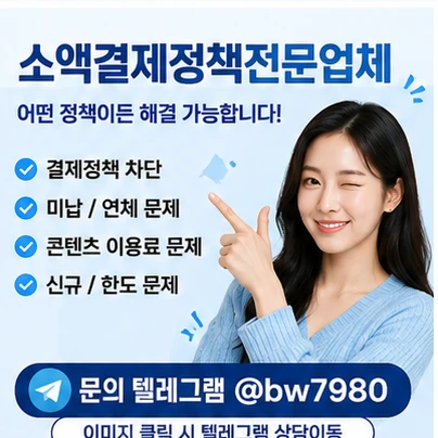 소액결제정책 해결이 안될 때|결제 실패 원인과 확인 순서