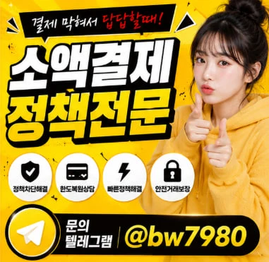 소액결제 에러코드 2104 정책 원인과 해결방안