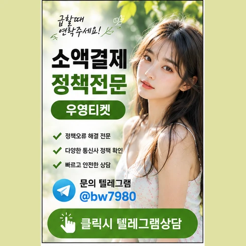 소액결제정책현금화