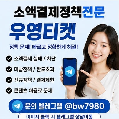 소액결제정책우회보다 먼저 확인해야 할 것|결제 오류 해결방법