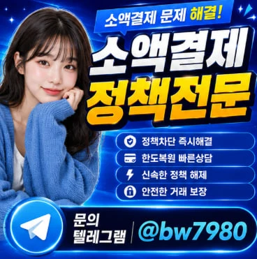 소액결제 에러코드 2104 정책 원인과 해결방안
